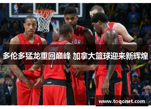 多伦多猛龙重回巅峰 加拿大篮球迎来新辉煌