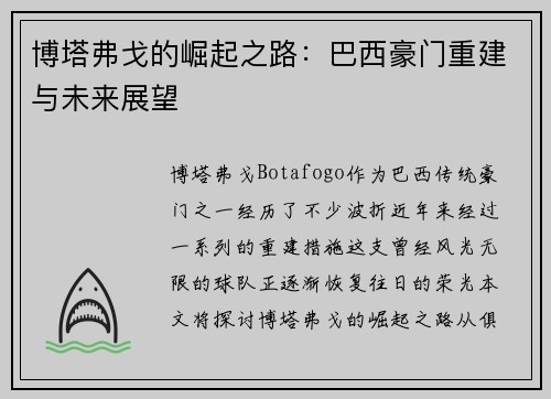 博塔弗戈的崛起之路：巴西豪门重建与未来展望